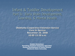 Infant &amp; Toddler Development Part 5:  Early Brain Development,