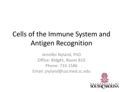 Cells of the Immune System and Antigen Recognition Jennifer Nyland, PhD