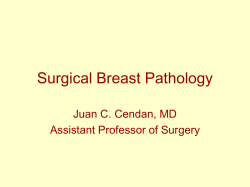 Surgical Breast Pathology Juan C. Cendan, MD Assistant Professor of Surgery
