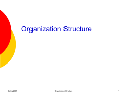 Organization Structure Spring 2007 1
