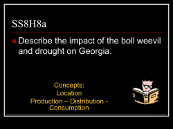 SS8H8a Describe the impact of the boll weevil and drought on Georgia. Concepts: