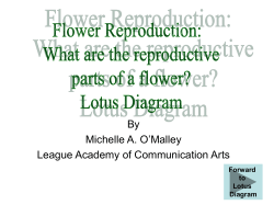 By Michelle A. O’Malley League Academy of Communication Arts Forward