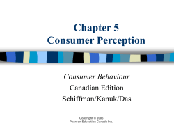 Chapter 5 Consumer Perception Consumer Behaviour Canadian Edition