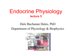 Endocrine Physiology Dale Buchanan Hales, PhD Department of Physiology &amp; Biophysics lecture 5