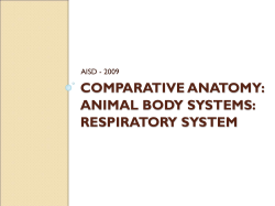 COMPARATIVE ANATOMY: ANIMAL BODY SYSTEMS: RESPIRATORY SYSTEM AISD - 2009