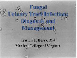 Fungal Urinary Tract Infections Diagnosis and Management