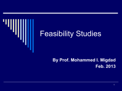 Feasibility Studies By Prof. Mohammed I. Migdad Feb. 2013 1