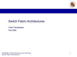 Switch Fabric Architectures Vahid Tabatabaee Fall 2006 1