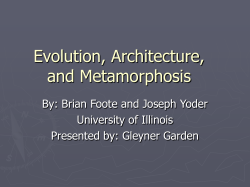 Evolution, Architecture, and Metamorphosis By: Brian Foote and Joseph Yoder University of Illinois