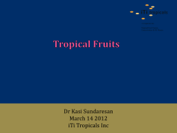 Dr Kasi Sundaresan March 14 2012 iTi Tropicals Inc
