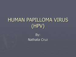 HUMAN PAPILLOMA VIRUS (HPV) By: Nathalia Cruz