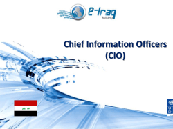 Chief Information Officers (CIO)