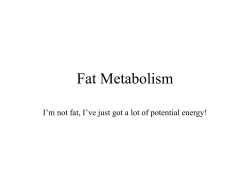 Fat Metabolism