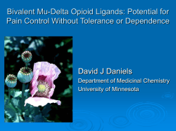 Bivalent Mu-Delta Opioid Ligands: Potential for David J Daniels