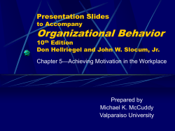 Organizational Behavior Presentation Slides to Accompany 10