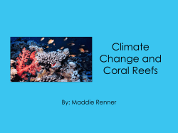 Climate Change and Coral Reefs By: Maddie Renner