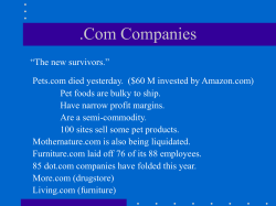 .Com Companies