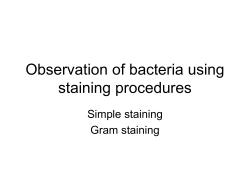 Observation of bacteria using staining procedures Simple staining Gram staining