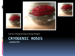 CRYOGENIC ROSES -CHEMISTRY Can Ice  Preserve Once-living Things?