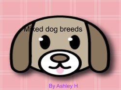 Mixed dog breeds By Ashley H .