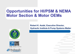 Opportunities for HI/PSM &amp; NEMA Motor Section &amp; Motor OEMs