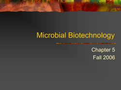 Microbial Biotechnology Chapter 5 Fall 2006