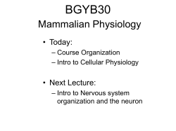 BGYB30 Mammalian Physiology • Today: • Next Lecture: