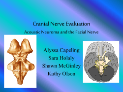 Cranial Nerve Evaluation Acoustic Neuroma and the Facial Nerve Alyssa Capeling Sara Holaly