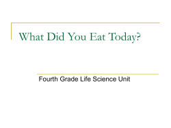 What Did You Eat Today? Fourth Grade Life Science Unit