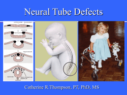 Neural Tube Defects Catherine R.Thompson, PT, PhD, MS