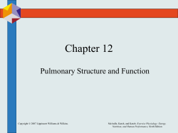 Chapter 12 Pulmonary Structure and Function Exercise Physiology: Energy,