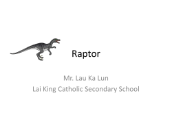Raptor Mr. Lau Ka Lun Lai King Catholic Secondary School