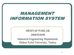 MANAGEMENT INFORMATION SYSTEM MEHTAP PARLAK 2008503098