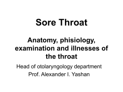Sore Throat Anatomy, phisiology, examination and illnesses of the throat