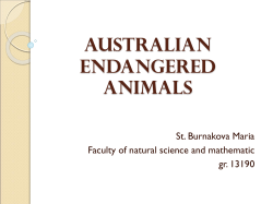 Australian Endangered Animals St. Burnakova Maria