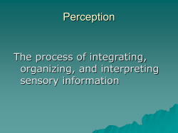 Perception The process of integrating, organizing, and interpreting sensory information