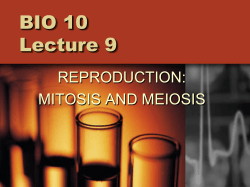 BIO 10 Lecture 9 REPRODUCTION: MITOSIS AND MEIOSIS