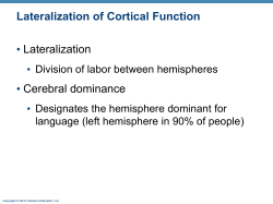 Lateralization of Cortical Function • Lateralization Cerebral dominance