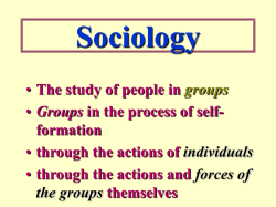 Sociology The study of people in Groups through the actions of