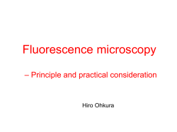 Fluorescence microscopy – Principle and practical consideration Hiro Ohkura