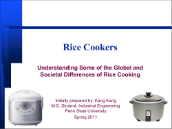 Rice Cookers Understanding Some of the Global and