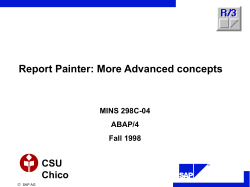 Report Painter: More Advanced concepts CSU Chico MINS 298C-04
