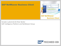 SAP NetWeaver Business Client Smadar Ludomirski &amp; Peter Barker