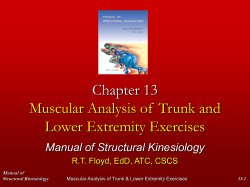 Chapter 13 Muscular Analysis of  Trunk and Lower Extremity Exercises