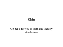 Skin Object is for you to learn and identify skin lesions