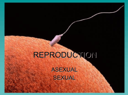 REPRODUCTION ASEXUAL SEXUAL