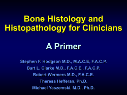 A Primer Bone Histology and Histopathology for Clinicians