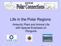Life in the Polar Regions Antarctic Plant and Animal Life Penguins