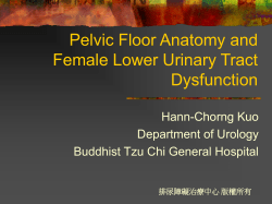 Pelvic Floor Anatomy and Female Lower Urinary Tract Dysfunction Hann-Chorng Kuo