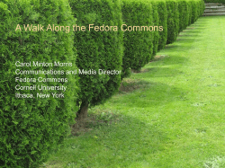 A Walk Along the Fedora Commons Carol Minton Morris Fedora Commons